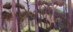 Camps Bay from the Glen II | 2019 | Oil on Canvas | 36 x 52 cm